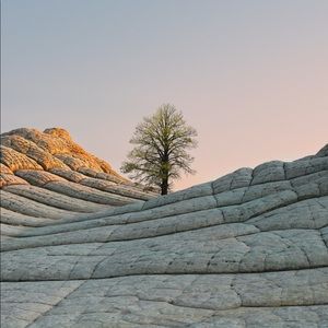 Meet your Posher, Yat tung